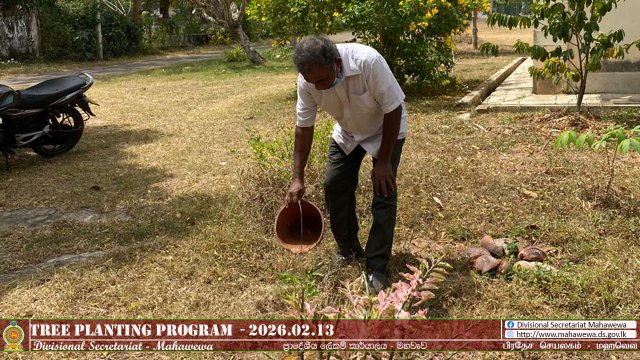 පරිසර වැඩසටහන්