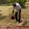 පරිසර වැඩසටහන්