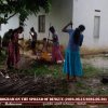 පරිසර වැඩසටහන්